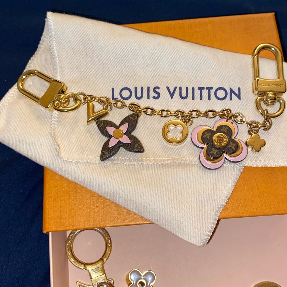 Louis Vuitton Purse Chain